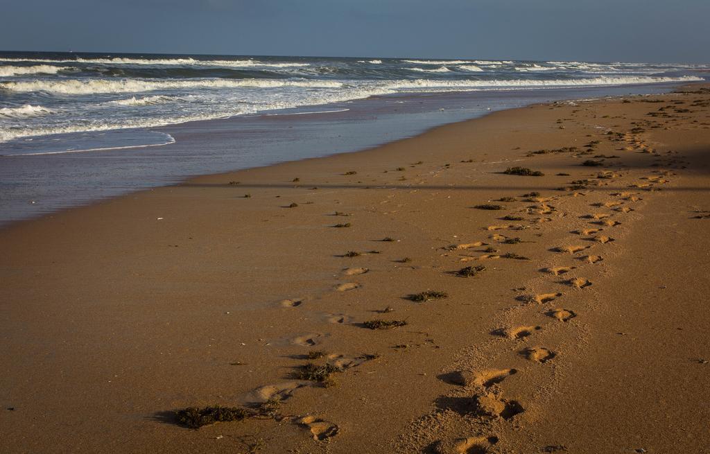 View The Ocean At Flagler Beach, Florida Exterior foto